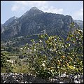 Mallorca0023.jpg