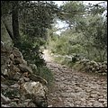 Mallorca0055.jpg