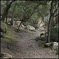 Mallorca0057.jpg