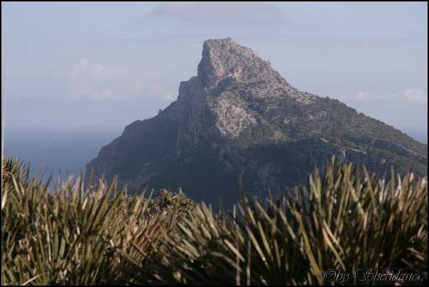 Mallorca0564.jpg