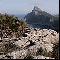 Mallorca0563.jpg