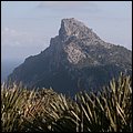 Mallorca0564.jpg