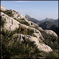 Mallorca0566.jpg
