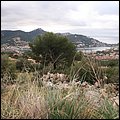 Mallorca0583.jpg