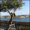 Valletta043.jpg
