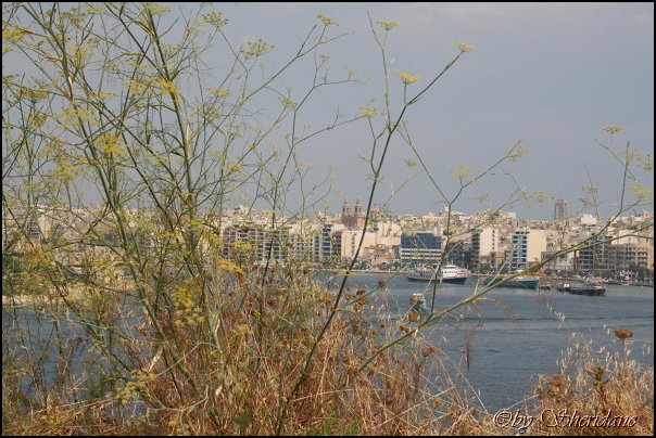 Valletta069.jpg