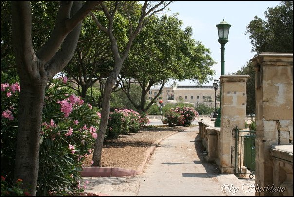 Valletta105.jpg