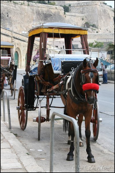 Valletta113.jpg