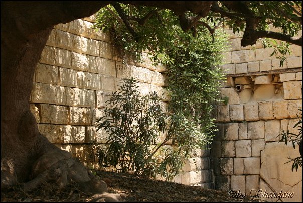 Valletta126.jpg