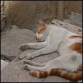Valletta071.jpg