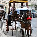 Valletta113.jpg
