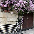 Valletta114.jpg