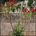 Valletta119.jpg
