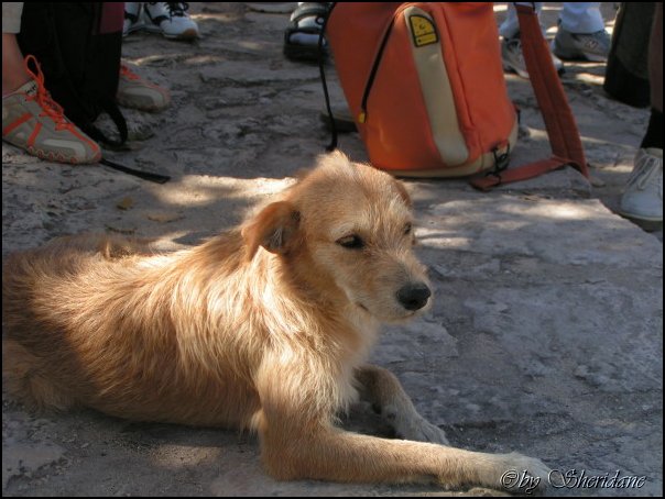 Mexiko012.jpg