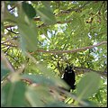 Mexiko010.jpg