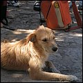 Mexiko012.jpg