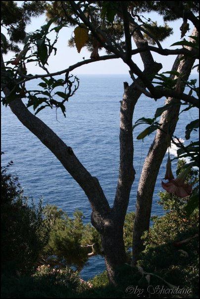 Monaco010.jpg