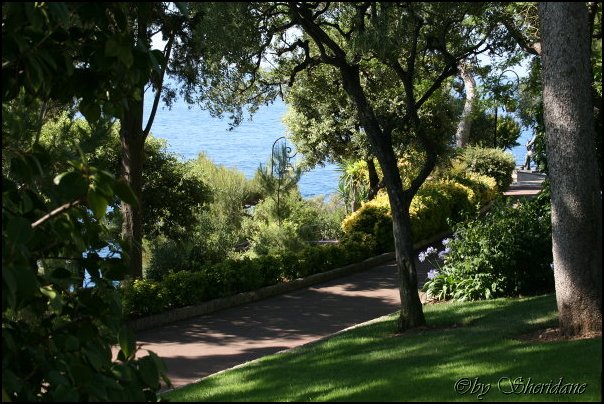 Monaco012.jpg