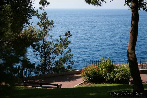 Monaco015.jpg