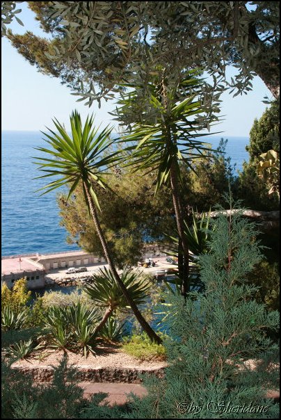Monaco016.jpg