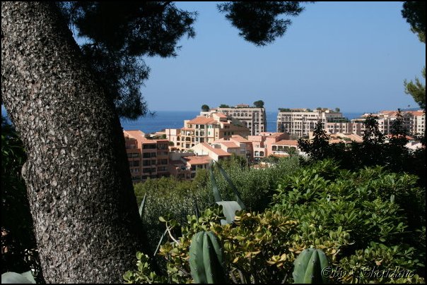 Monaco017.jpg
