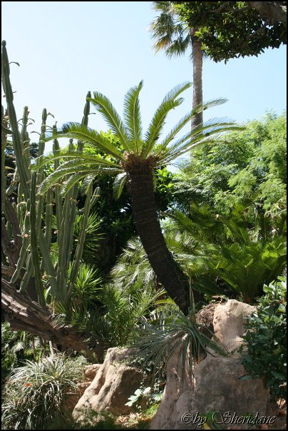 Monaco064.jpg
