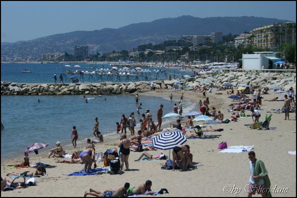 Monaco080.jpg