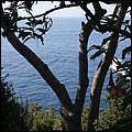 Monaco010.jpg