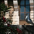 Monaco045.jpg