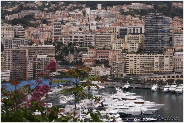 Monaco105.jpg