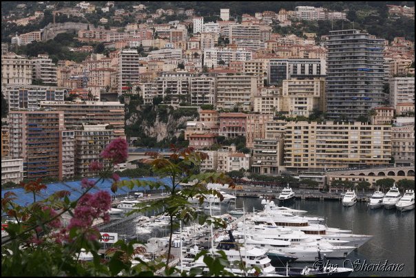 Monaco105.jpg