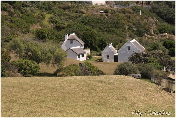 Suedafrika408.jpg