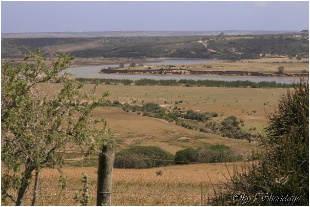Suedafrika418.jpg