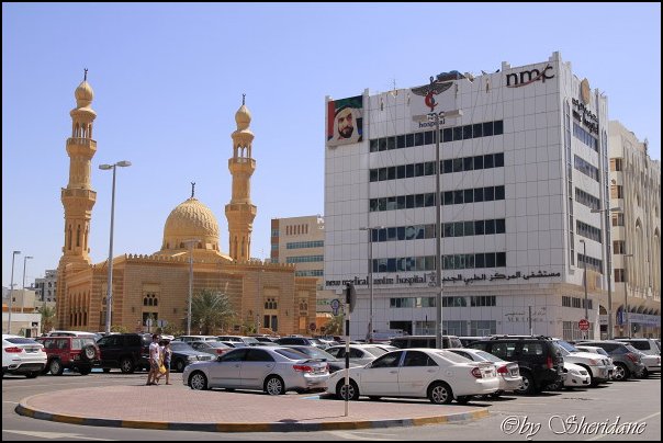 Emirate006.jpg