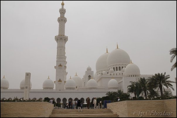 Emirate056.jpg