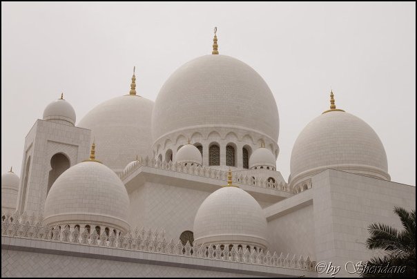 Emirate057.jpg