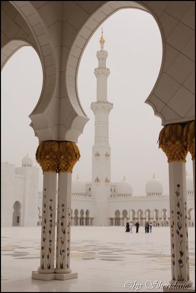Emirate059.jpg