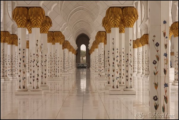 Emirate060.jpg