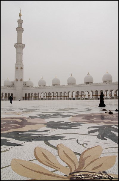 Emirate062.jpg