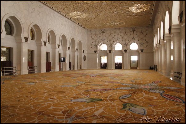 Emirate063.jpg