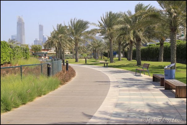 Emirate080.jpg