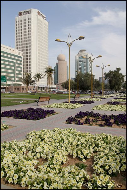 Emirate177.jpg
