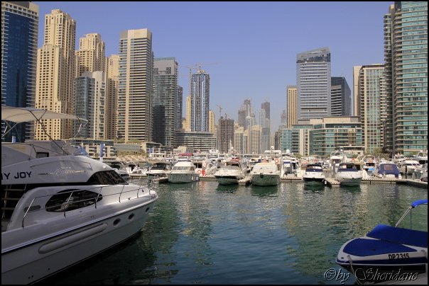 Emirate213.jpg