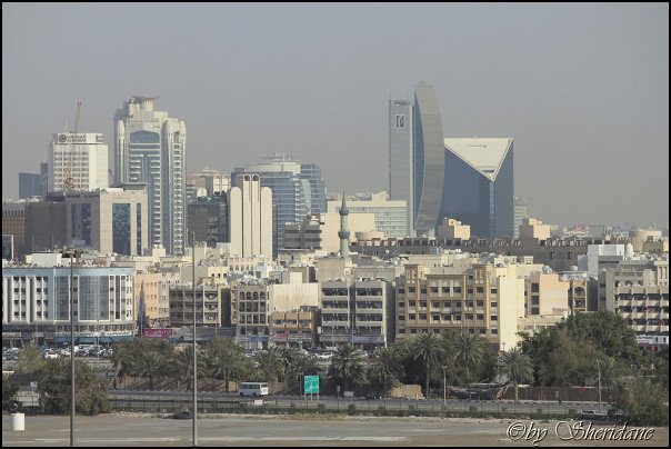 Emirate229.jpg