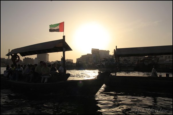 Emirate239.jpg