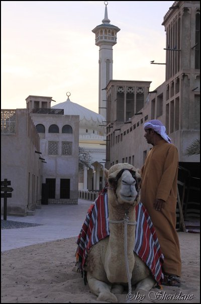 Emirate244.jpg
