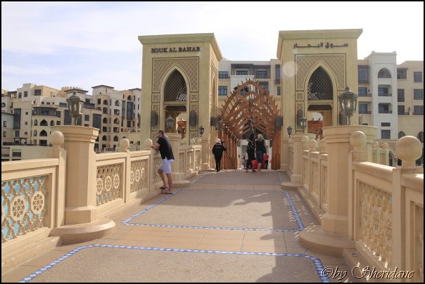 Emirate263.jpg