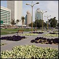 Emirate177.jpg