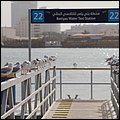 Emirate183.jpg