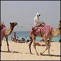 Emirate208.jpg